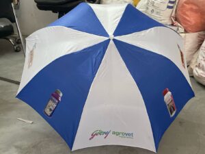Folding Umbrella